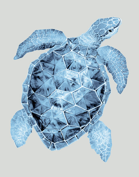 Grand Cayman IV