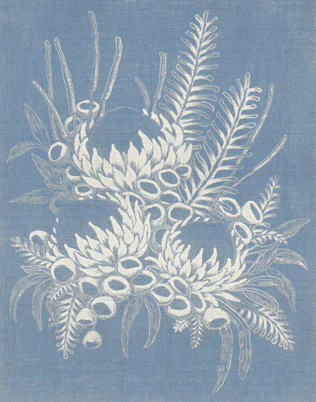 Valley Native VI (Canvas)