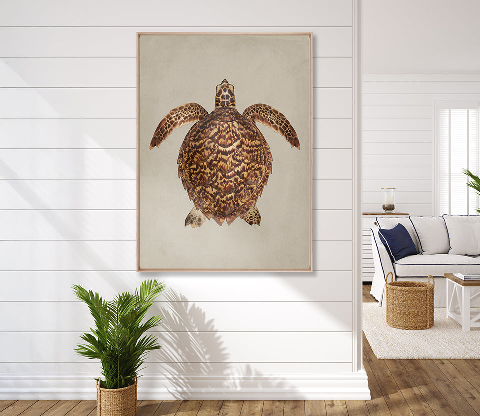 Majestic Turtle II (Canvas)