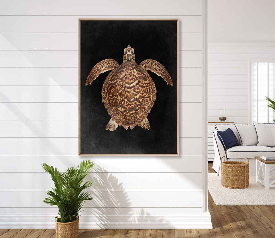 Majestic Turtle III (Canvas)