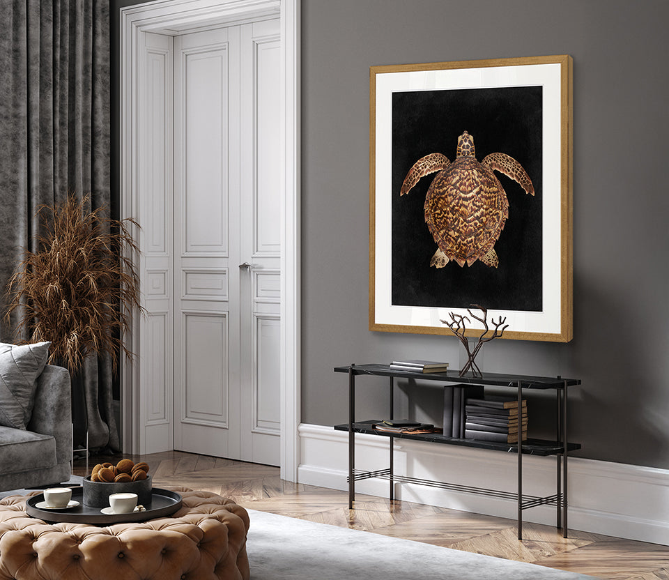 Majestic Turtle III