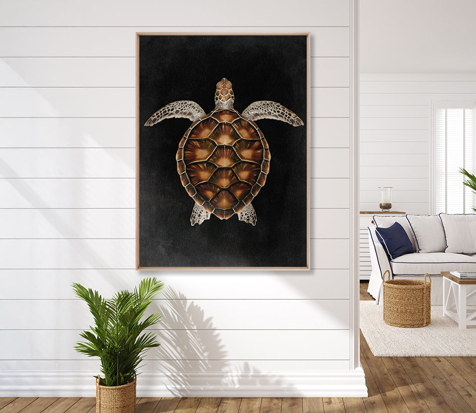 Majestic Turtle IV (Canvas)