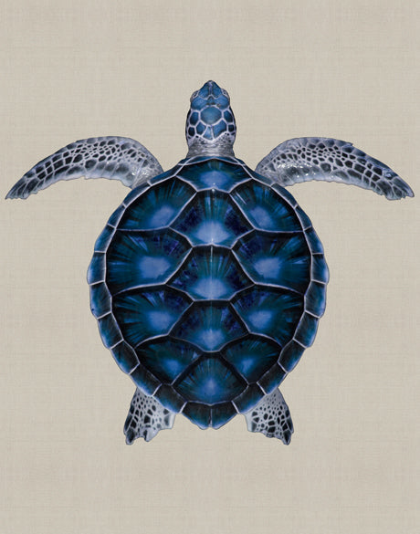 Majestic Turtle V (Canvas)