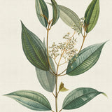 hum08-c_3