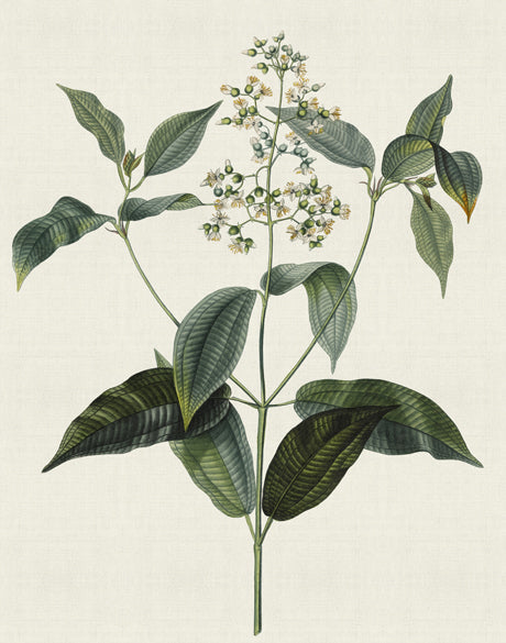 Floral Elegance IX
