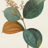 hum11_3