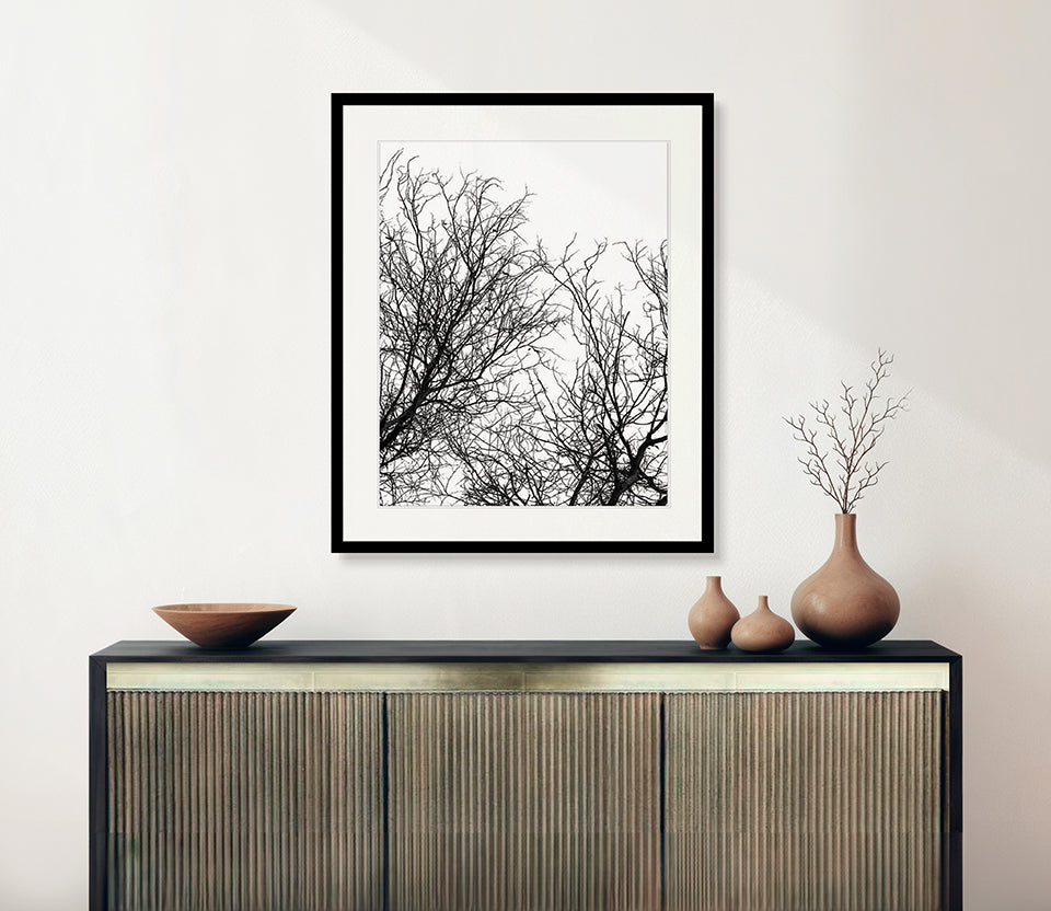 Tree Silhouette I