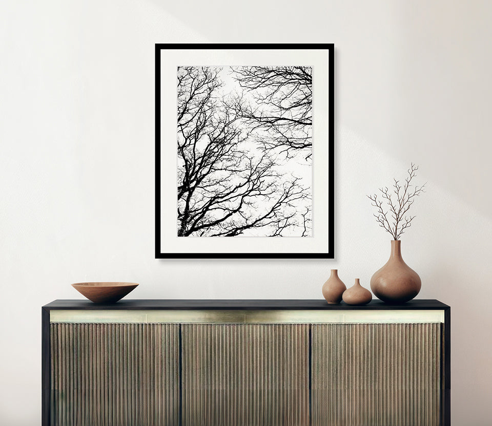Tree Silhouette II