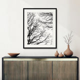 hyde02_2
