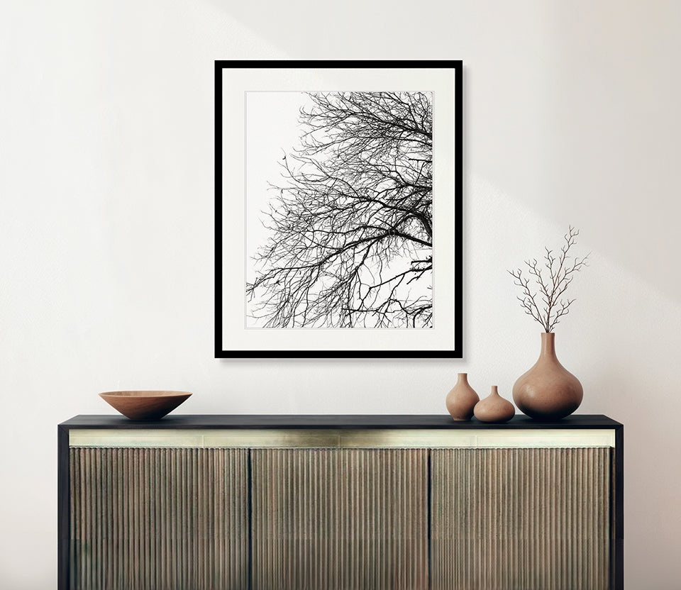 Tree Silhouette III