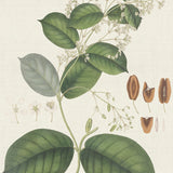 ind06_3