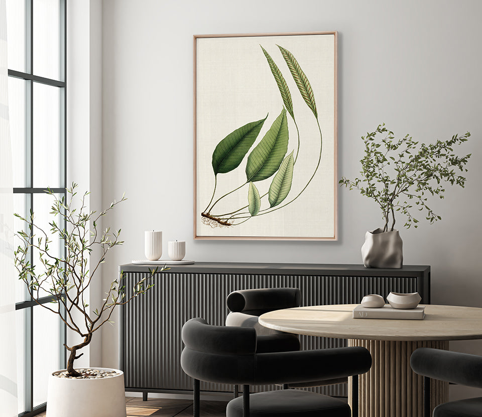 Exotic  Foliage IV (Canvas)