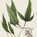 javae06_3