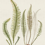 javae10_3