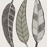 kareel07_3