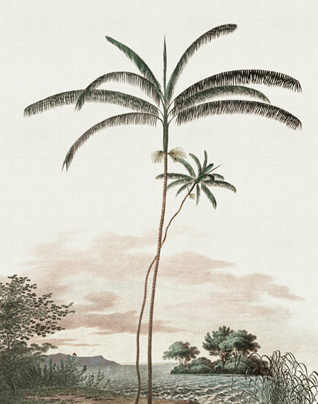 Vintage Palm Study IV (Canvas)