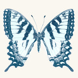 kes02_3