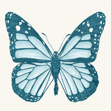 kes06_3