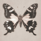 kes07-c-l_3