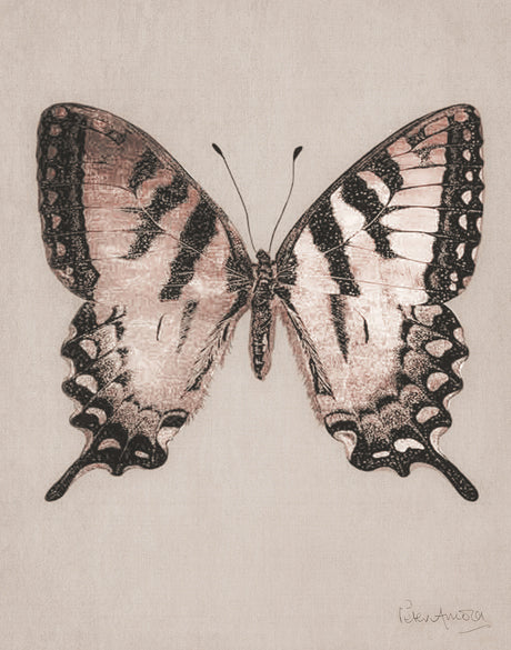 Fanciful Butterfly IX (Canvas)