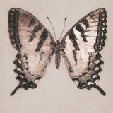 kes09_3