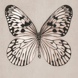 kes10-c-l_3