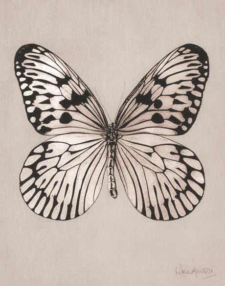 Fanciful Butterfly X (Canvas)