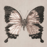 kes12_3