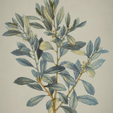 kett06_3
