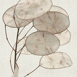 kiv01_3