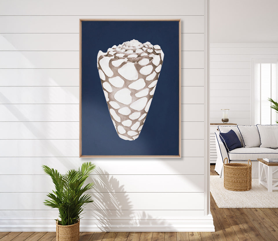 La Mesa Bay Shell II (Canvas)