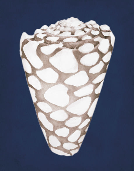 La Mesa Bay Shell II
