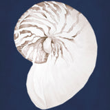 lamesa03-c_3