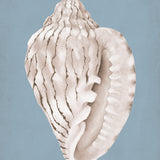 lamesa04_3