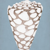 lamesa05-c_3