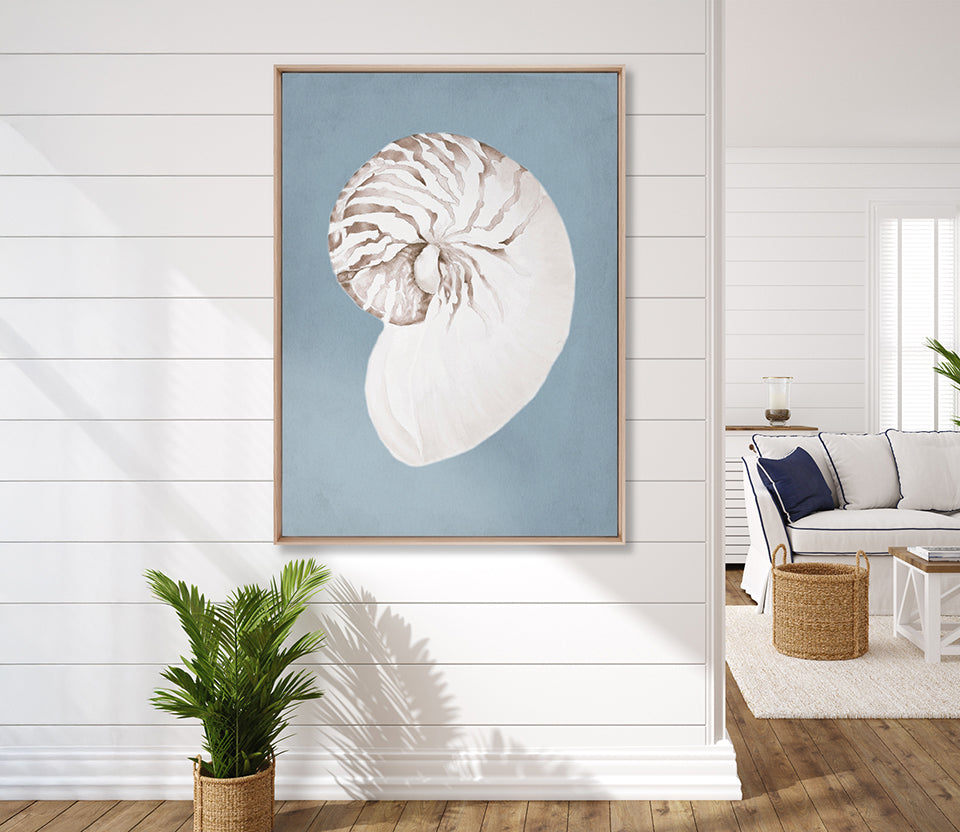 La Mesa Bay Shell VI (Canvas)