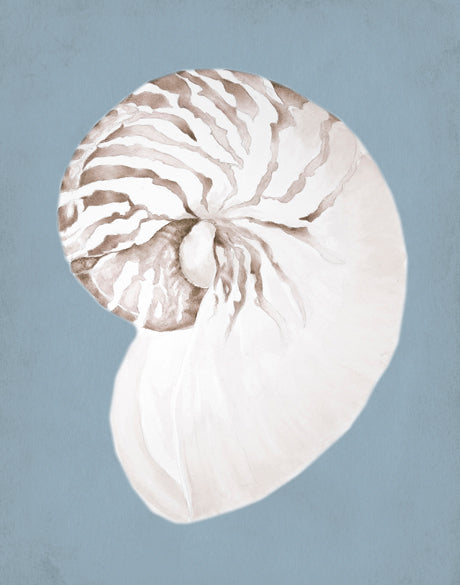 La Mesa Bay Shell VI