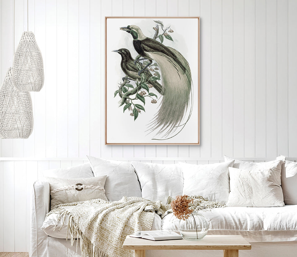 La Romieu Bird I (Canvas)