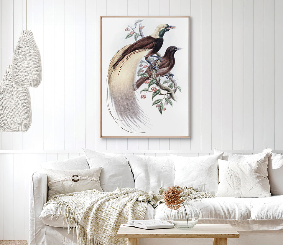 La Romieu Bird II (Canvas)