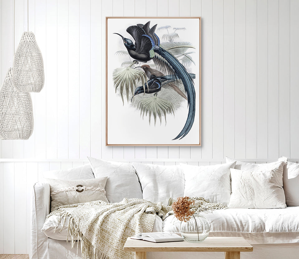 La Romieu Bird III (Canvas)