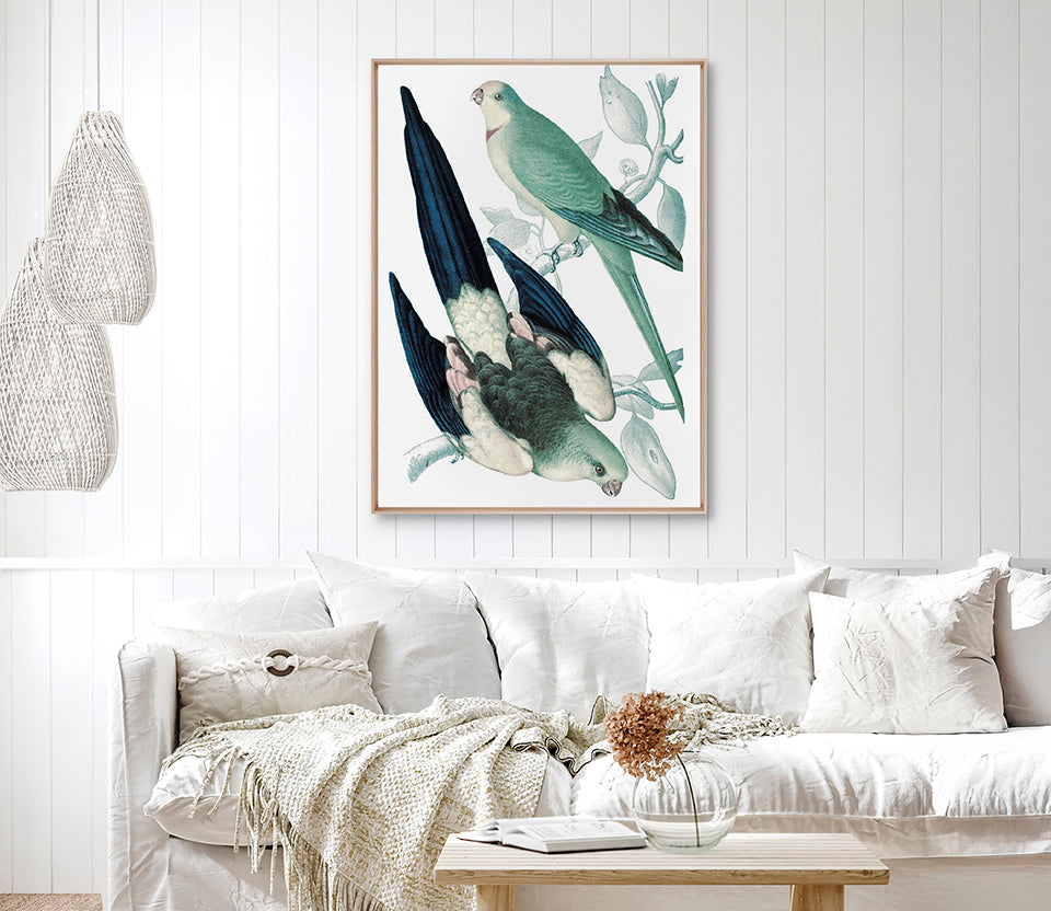 La Romieu Bird V (Canvas)