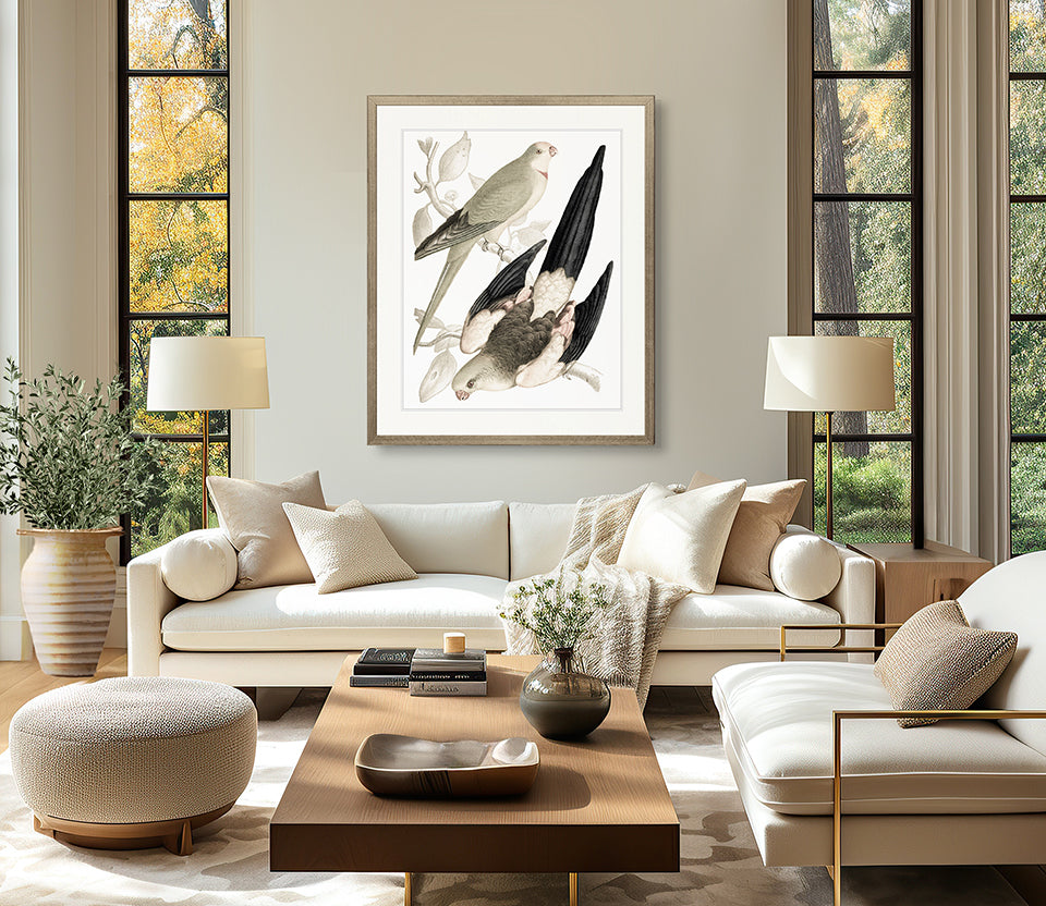 La Romieu Bird VI