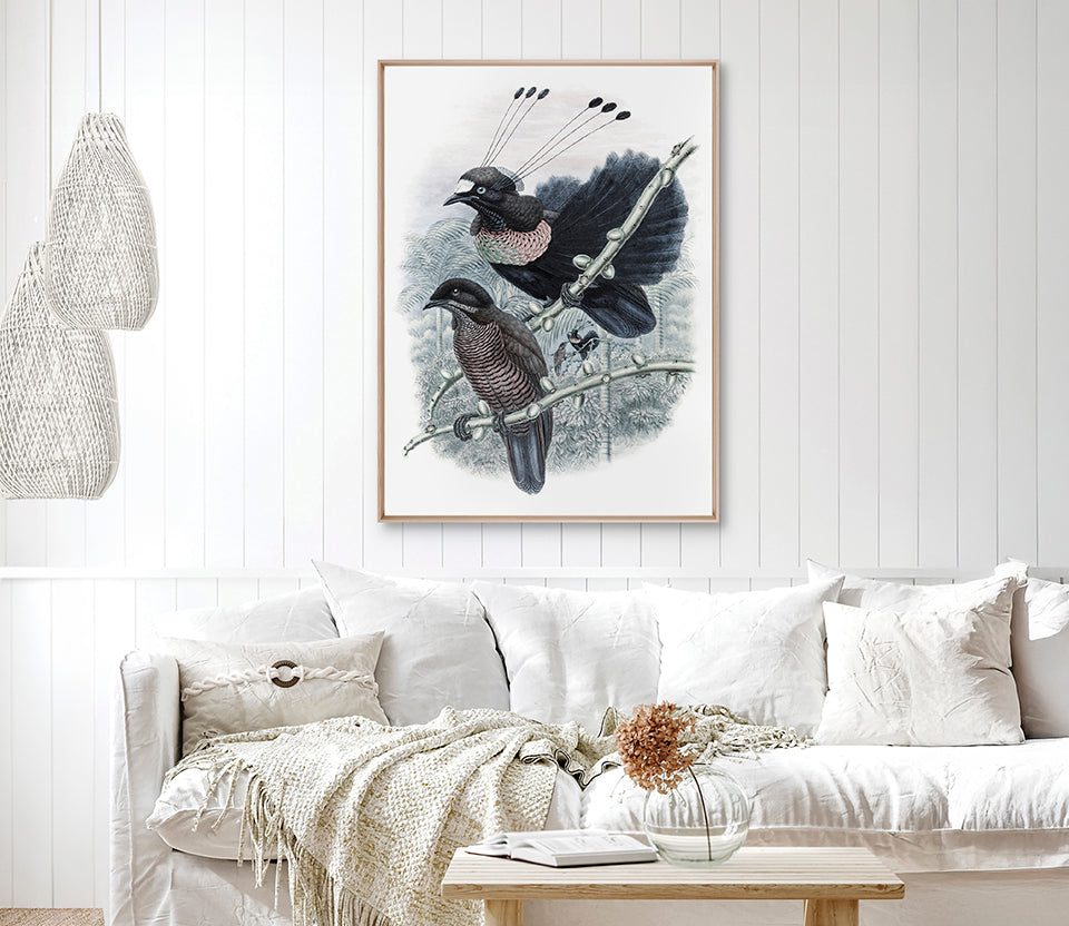 La Romieu Bird VII (Canvas)