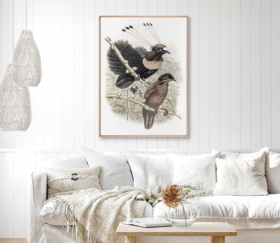 La Romieu Bird VIII (Canvas)
