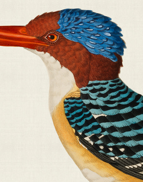 Enchanted Forest Bird III
