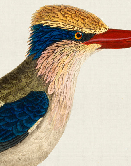 Enchanted Forest Bird IV