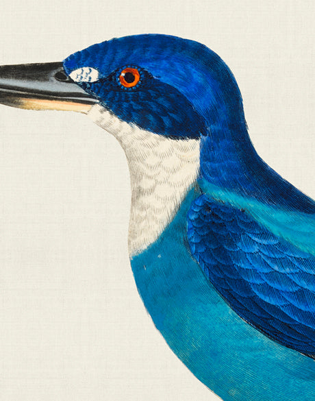 Enchanted Forest Bird V