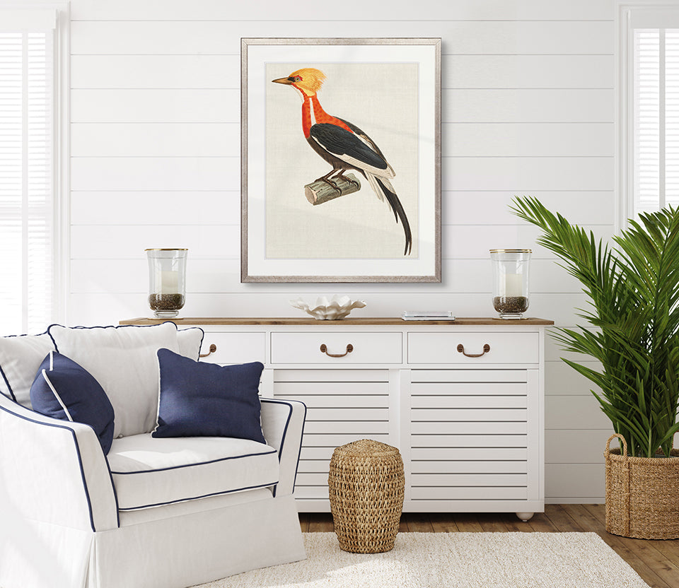 Enchanted Forest Bird XII