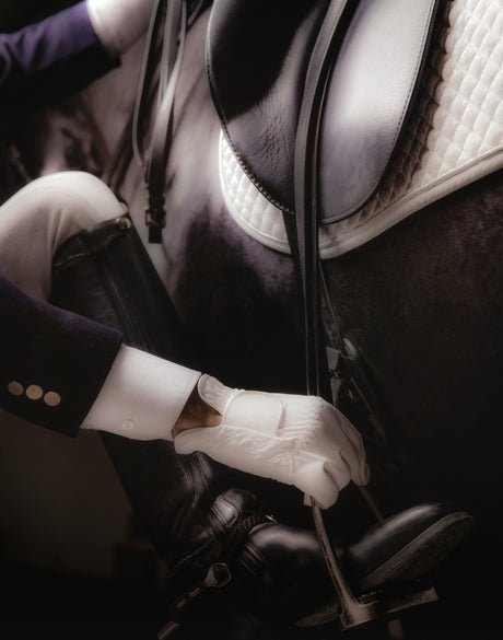 Equestre IV