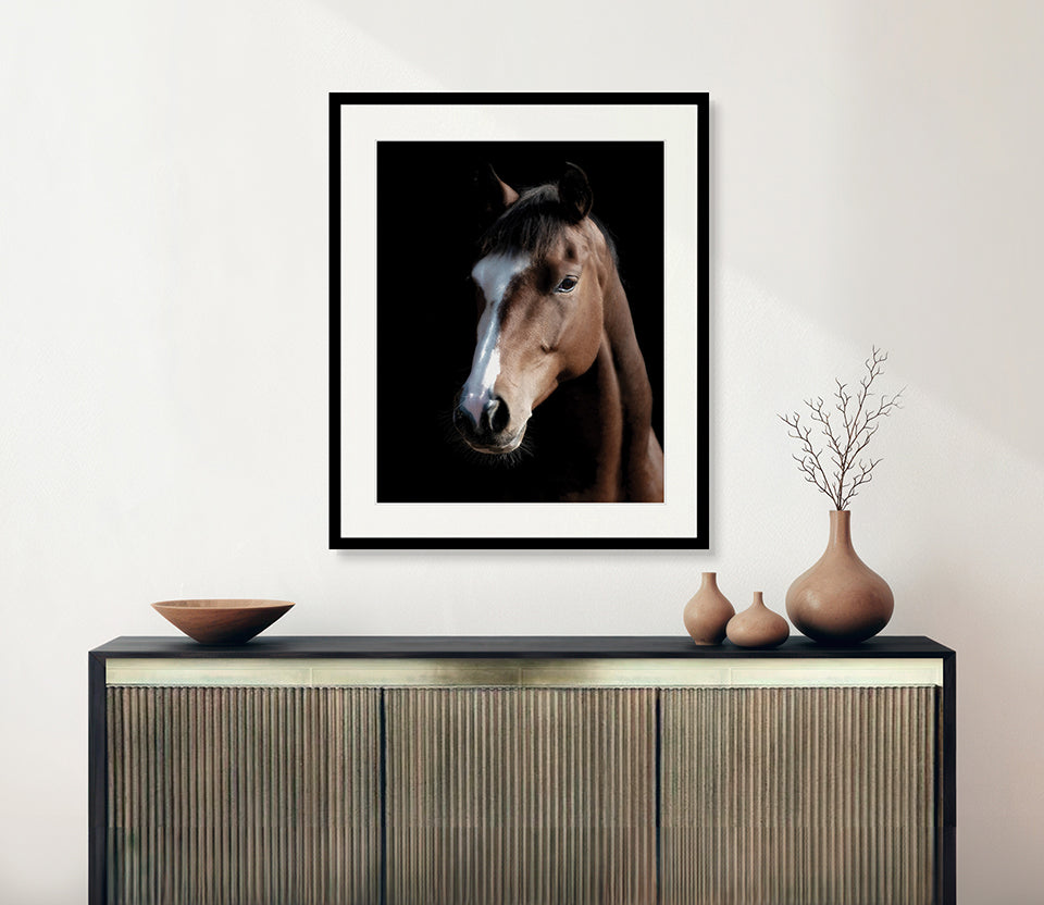 Les Chevaux VII